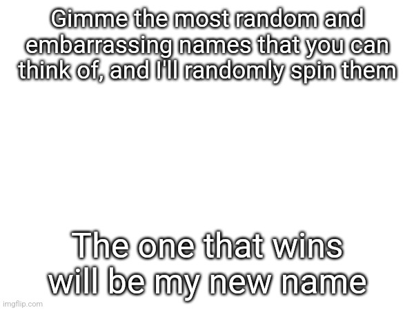 I'll probably regret this | Gimme the most random and embarrassing names that you can think of, and I'll randomly spin them; The one that wins will be my new name | image tagged in e | made w/ Imgflip meme maker