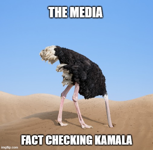 Never Forget the Media's Role | THE MEDIA; FACT CHECKING KAMALA | image tagged in kamala harris,liberals,biased media,democrats,woke,liberal narrative | made w/ Imgflip meme maker