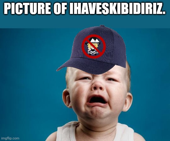 BABY CRYING | PICTURE OF IHAVESKIBIDIRIZ. | image tagged in baby crying | made w/ Imgflip meme maker