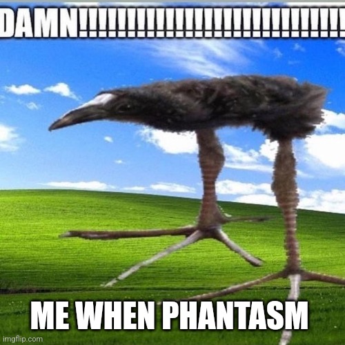 DAAAAAAAAMMMMMMMNNNNNN | ME WHEN PHANTASM | image tagged in damn | made w/ Imgflip meme maker