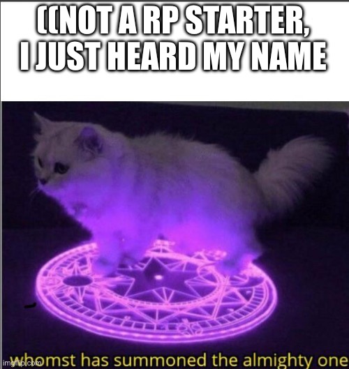 Who has summoned the almighty one | ((NOT A RP STARTER, I JUST HEARD MY NAME | image tagged in who has summoned the almighty one | made w/ Imgflip meme maker