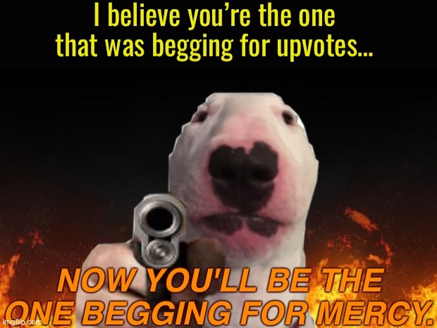 Upvote beggar | image tagged in upvote beggar | made w/ Imgflip meme maker