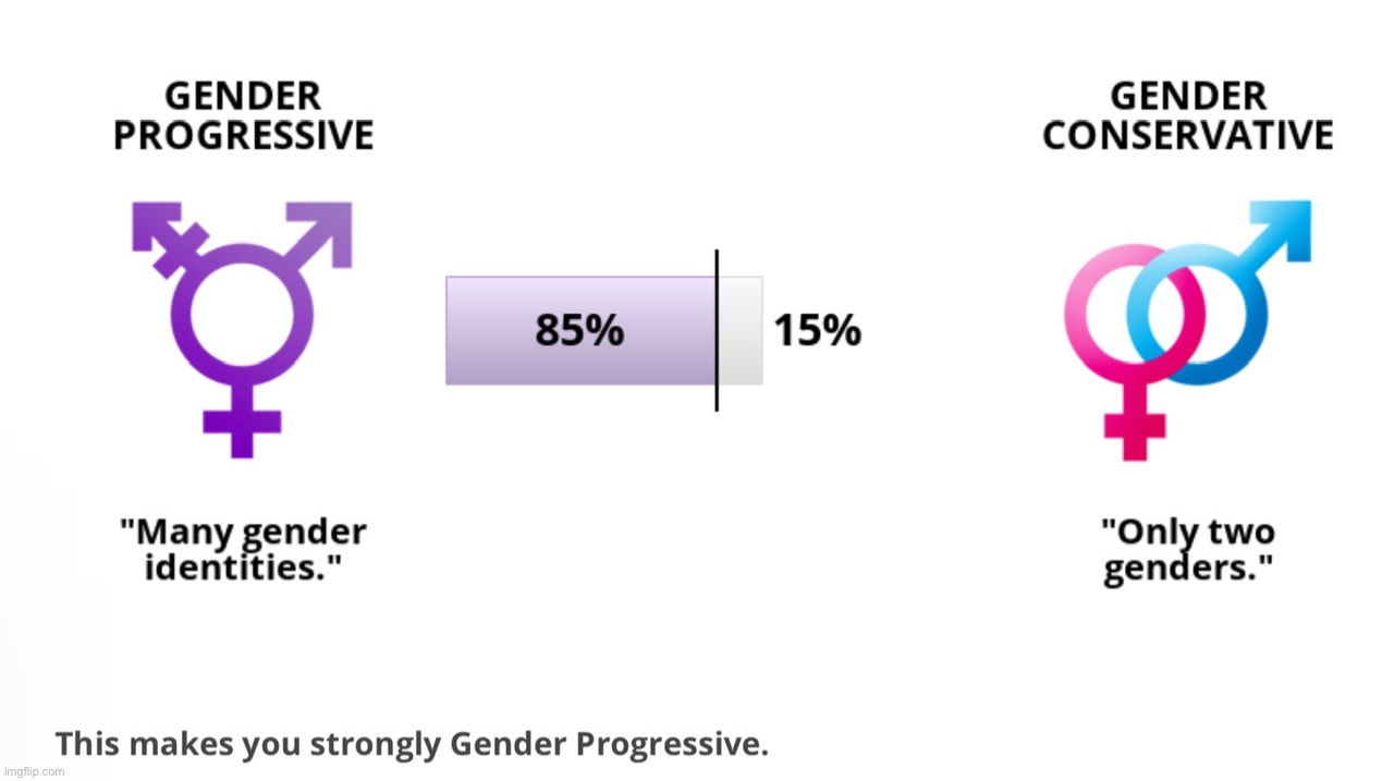 was hoping for a lower “gender conservative” percentage but at least it’s not higher than 20%… | made w/ Imgflip meme maker