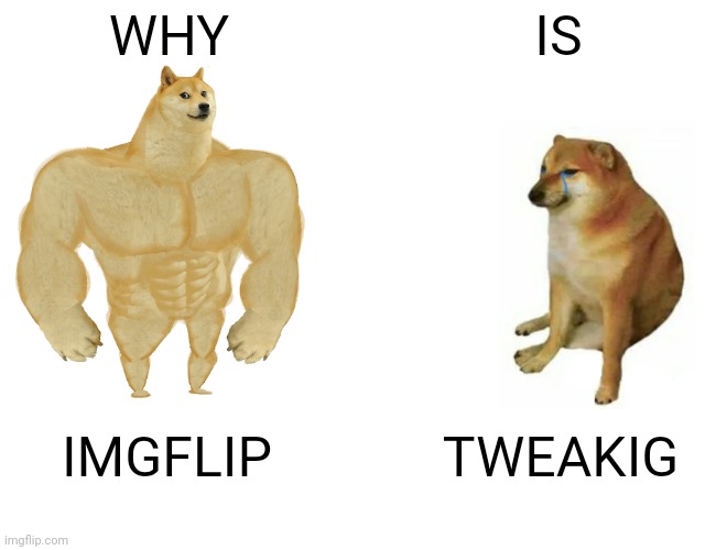 Buff Doge vs. Cheems Meme | WHY; IS; IMGFLIP; TWEAKIG | image tagged in memes,buff doge vs cheems | made w/ Imgflip meme maker