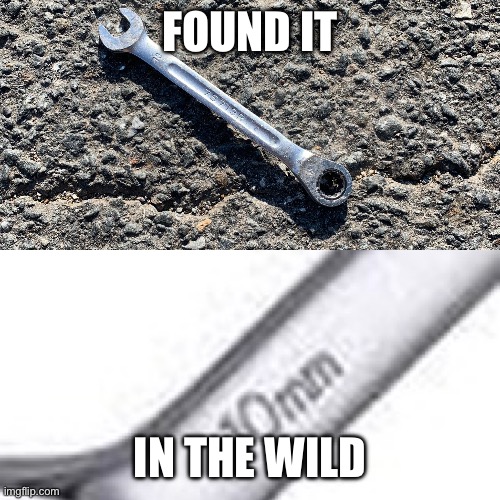 Spanner | FOUND IT; IN THE WILD | image tagged in spanner,10 guy | made w/ Imgflip meme maker