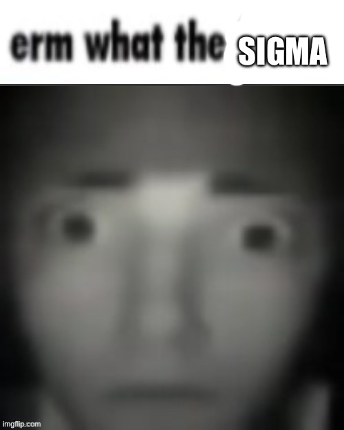 erm what the freak | SIGMA | image tagged in erm what the freak | made w/ Imgflip meme maker