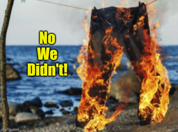 Pants on fire | No
We
Didn't! | image tagged in pants on fire | made w/ Imgflip meme maker