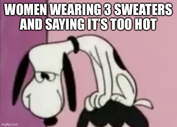 The snoops | WOMEN WEARING 3 SWEATERS AND SAYING IT’S TOO HOT | image tagged in the snoops | made w/ Imgflip meme maker