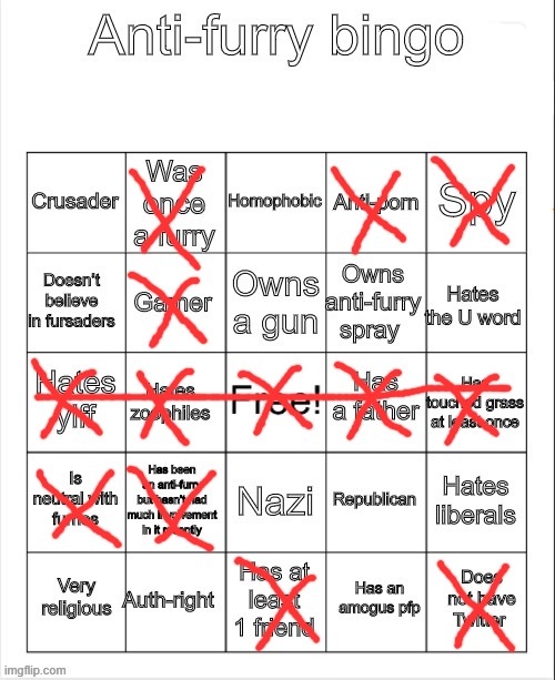 Check out my bingo: | image tagged in anti-furry bingo,anti furry | made w/ Imgflip meme maker