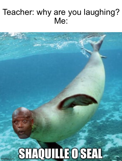 Shaquille o seal | Teacher: why are you laughing?
Me:; SHAQUILLE O SEAL | image tagged in memes,shaq | made w/ Imgflip meme maker