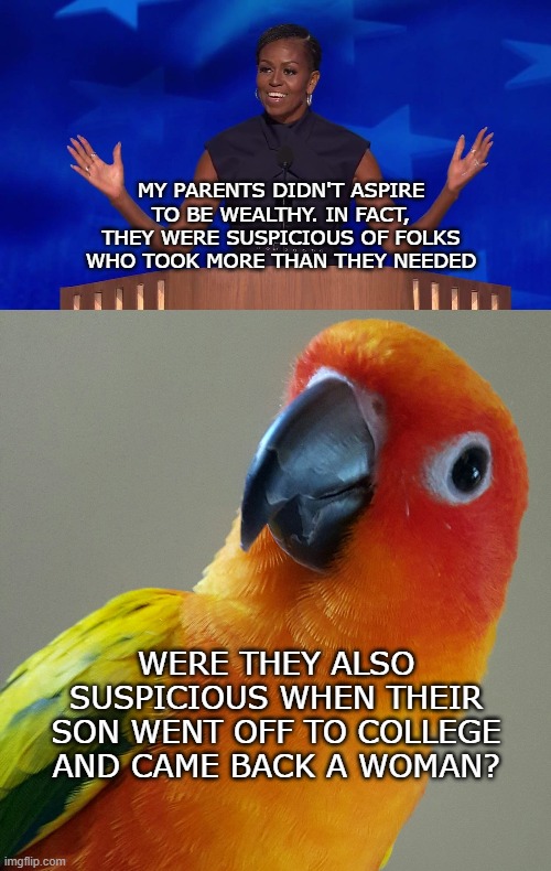 Just curious. | MY PARENTS DIDN'T ASPIRE TO BE WEALTHY. IN FACT, THEY WERE SUSPICIOUS OF FOLKS WHO TOOK MORE THAN THEY NEEDED; WERE THEY ALSO SUSPICIOUS WHEN THEIR SON WENT OFF TO COLLEGE AND CAME BACK A WOMAN? | image tagged in pondering parrot,michelle obama,dnc,democrats | made w/ Imgflip meme maker