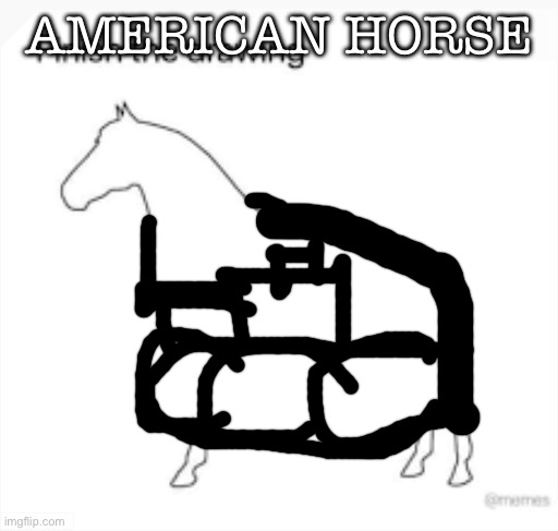 Americaaaaa | AMERICAN HORSE | image tagged in finish the drawing | made w/ Imgflip meme maker