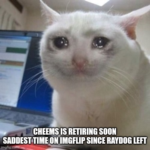 Crying cat | CHEEMS IS RETIRING SOON
SADDEST TIME ON IMGFLIP SINCE RAYDOG LEFT | image tagged in crying cat | made w/ Imgflip meme maker