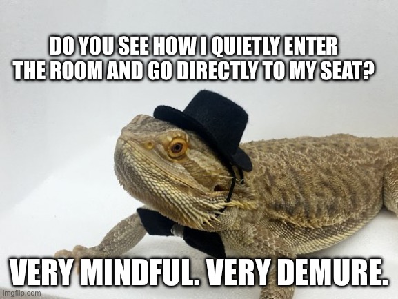 Bearded dragon class etiquette | DO YOU SEE HOW I QUIETLY ENTER THE ROOM AND GO DIRECTLY TO MY SEAT? VERY MINDFUL. VERY DEMURE. | image tagged in meme | made w/ Imgflip meme maker