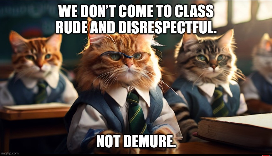 Cat demure | WE DON’T COME TO CLASS RUDE AND DISRESPECTFUL. NOT DEMURE. | image tagged in fun | made w/ Imgflip meme maker