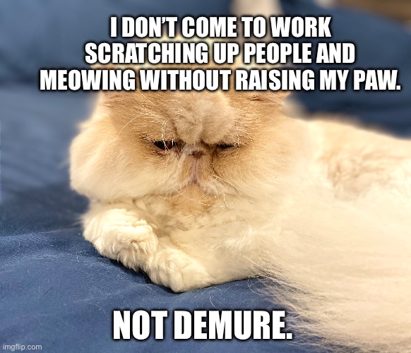 Cat demure | I DON’T COME TO WORK SCRATCHING UP PEOPLE AND MEOWING WITHOUT RAISING MY PAW. NOT DEMURE. | image tagged in grumpy cat | made w/ Imgflip meme maker