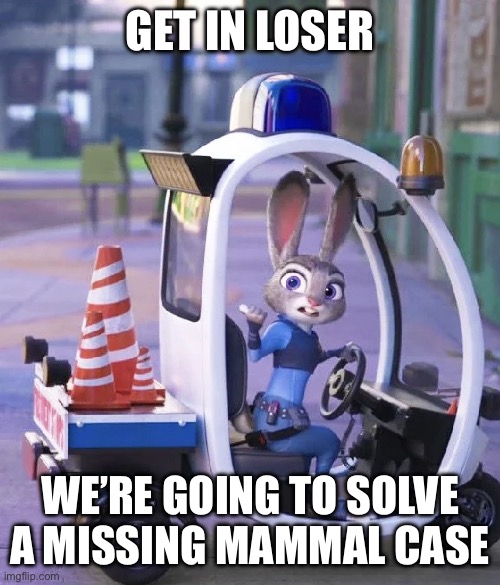 Get in Loser, We’re going to solve a missing mammal case | GET IN LOSER; WE’RE GOING TO SOLVE A MISSING MAMMAL CASE | image tagged in get in the car | made w/ Imgflip meme maker