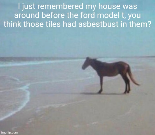 man. | I just remembered my house was around before the ford model t, you think those tiles had asbestbust in them? | image tagged in man | made w/ Imgflip meme maker