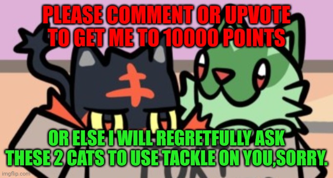 Litten and Sprigatito say they're sorry. | PLEASE COMMENT OR UPVOTE TO GET ME TO 10000 POINTS; OR ELSE I WILL REGRETFULLY ASK THESE 2 CATS TO USE TACKLE ON YOU,SORRY. | image tagged in memes,pokemon | made w/ Imgflip meme maker