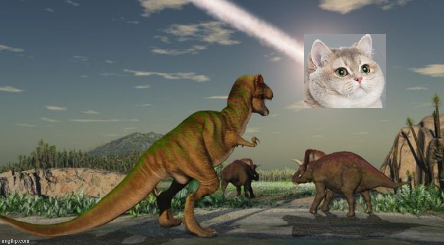 Dinosaurs meteor | image tagged in dinosaurs meteor | made w/ Imgflip meme maker