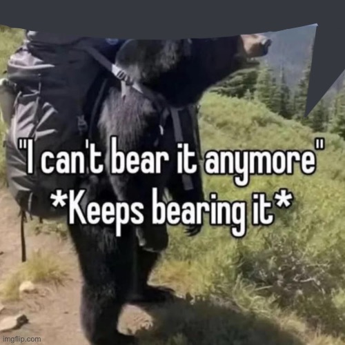 bear bearing | image tagged in bear bearing | made w/ Imgflip meme maker