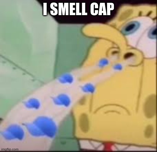 I smell cap | I SMELL CAP | image tagged in i smell cap | made w/ Imgflip meme maker