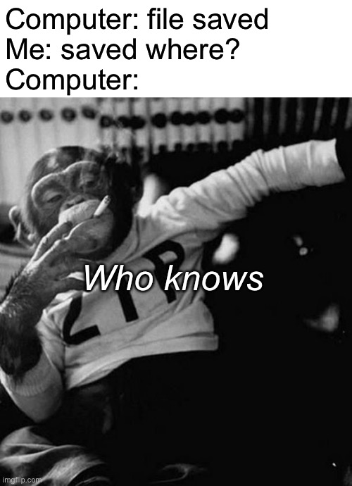 This happens every time | Computer: file saved
Me: saved where?
Computer:; Who knows | image tagged in monkey smoke zip,computer,memes | made w/ Imgflip meme maker