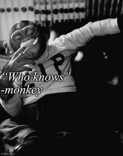 smoking monkey  | “Who knows”
-monkey | image tagged in smoking monkey | made w/ Imgflip meme maker