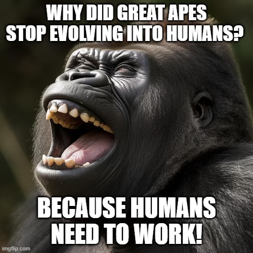 WHY DID GREAT APES STOP EVOLVING INTO HUMANS? BECAUSE HUMANS NEED TO WORK! | made w/ Imgflip meme maker