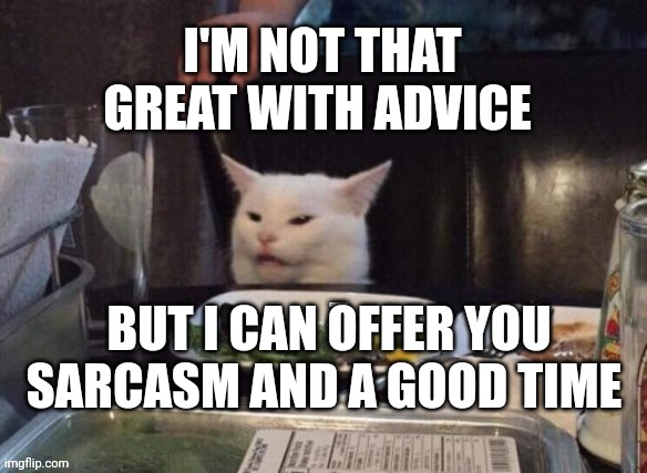 Smudge that darn cat | I'M NOT THAT GREAT WITH ADVICE; BUT I CAN OFFER YOU SARCASM AND A GOOD TIME | image tagged in smudge that darn cat | made w/ Imgflip meme maker