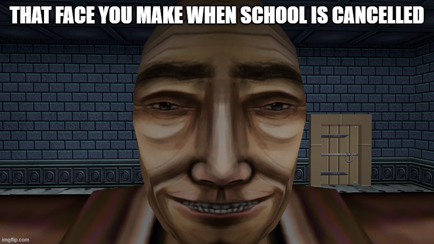 i accidentally posted this is the wrong stream | THAT FACE YOU MAKE WHEN SCHOOL IS CANCELLED | image tagged in memes,school memes | made w/ Imgflip meme maker