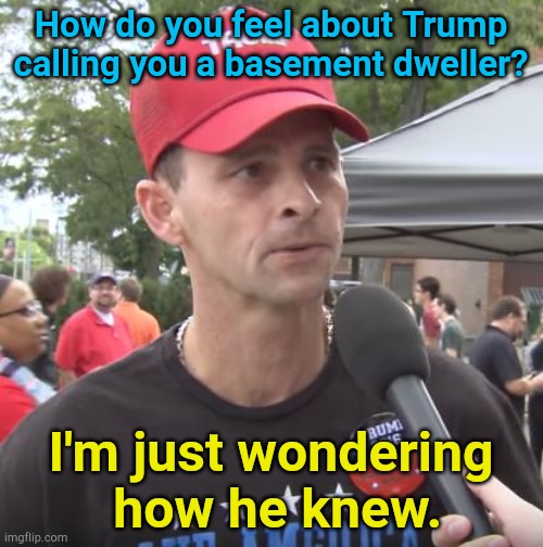 Just a lucky guess? | How do you feel about Trump calling you a basement dweller? I'm just wondering
 how he knew. | image tagged in trump supporter | made w/ Imgflip meme maker