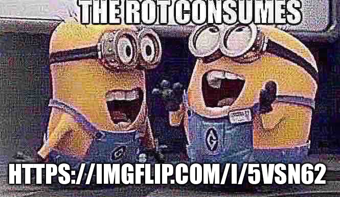 The rot consumes | HTTPS://IMGFLIP.COM/I/5VSN62 | image tagged in the rot consumes | made w/ Imgflip meme maker