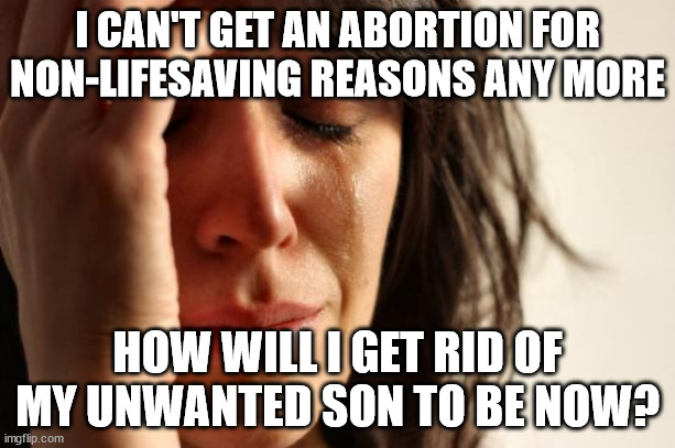 What goes on in the minds of those who support Harris because "Trump will take our abortion rights" | I CAN'T GET AN ABORTION FOR NON-LIFESAVING REASONS ANY MORE; HOW WILL I GET RID OF MY UNWANTED SON TO BE NOW? | image tagged in memes,first world problems | made w/ Imgflip meme maker