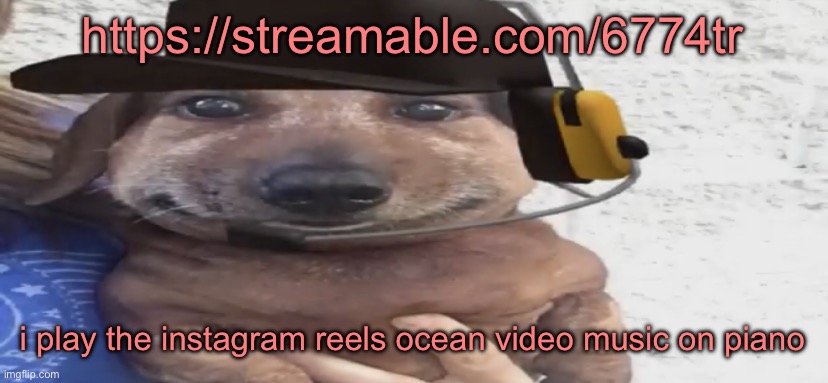 chucklenuts | https://streamable.com/6774tr; i play the instagram reels ocean video music on piano | image tagged in chucklenuts | made w/ Imgflip meme maker