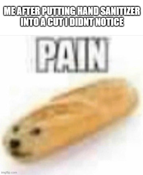 AHHHHHHHH | ME AFTER PUTTING HAND SANITIZER
INTO A CUT I DIDNT NOTICE | image tagged in pain,relatable,memes | made w/ Imgflip meme maker