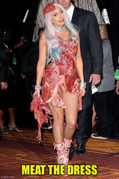 Meat the Dress | MEAT THE DRESS | image tagged in funny memes,meat | made w/ Imgflip meme maker