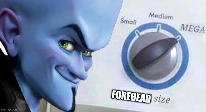 Mega Mind Size | FOREHEAD | image tagged in mega mind size | made w/ Imgflip meme maker