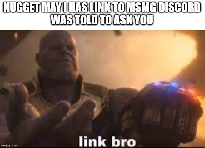 link bro | NUGGET MAY I HAS LINK TO MSMG DISCORD
WAS TOLD TO ASK YOU | image tagged in link bro | made w/ Imgflip meme maker