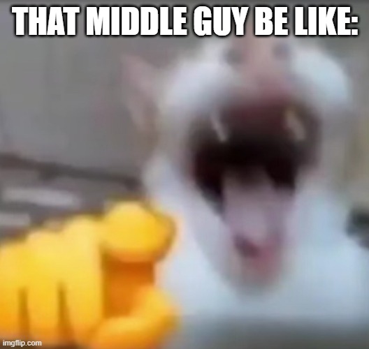 Cat pointing and laughing | THAT MIDDLE GUY BE LIKE: | image tagged in cat pointing and laughing | made w/ Imgflip meme maker