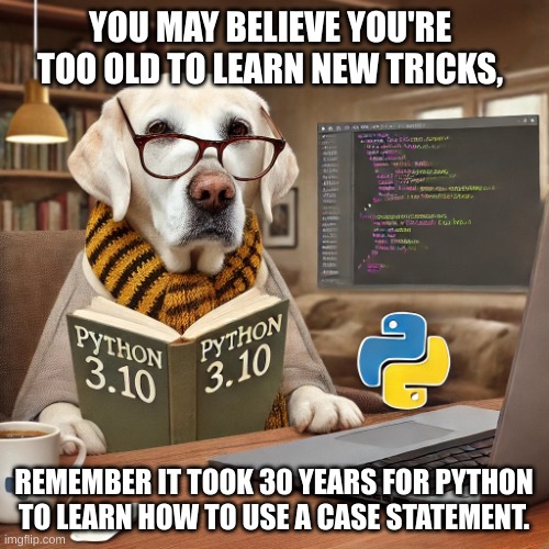 oldodgsandpython | YOU MAY BELIEVE YOU'RE TOO OLD TO LEARN NEW TRICKS, REMEMBER IT TOOK 30 YEARS FOR PYTHON TO LEARN HOW TO USE A CASE STATEMENT. | image tagged in oldodgsandpython | made w/ Imgflip meme maker