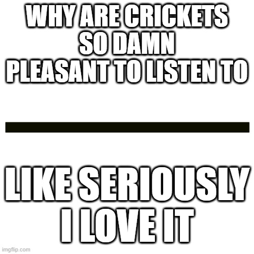 Horizontal Line | WHY ARE CRICKETS SO DAMN PLEASANT TO LISTEN TO; LIKE SERIOUSLY I LOVE IT | image tagged in horizontal line | made w/ Imgflip meme maker