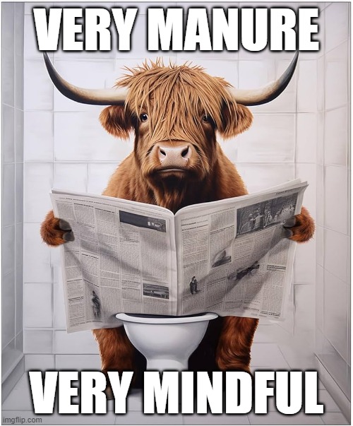 Very Manure, Very Mindful | VERY MANURE; VERY MINDFUL | image tagged in funny memes,demure,manure,mindful,cow,bullshit | made w/ Imgflip meme maker