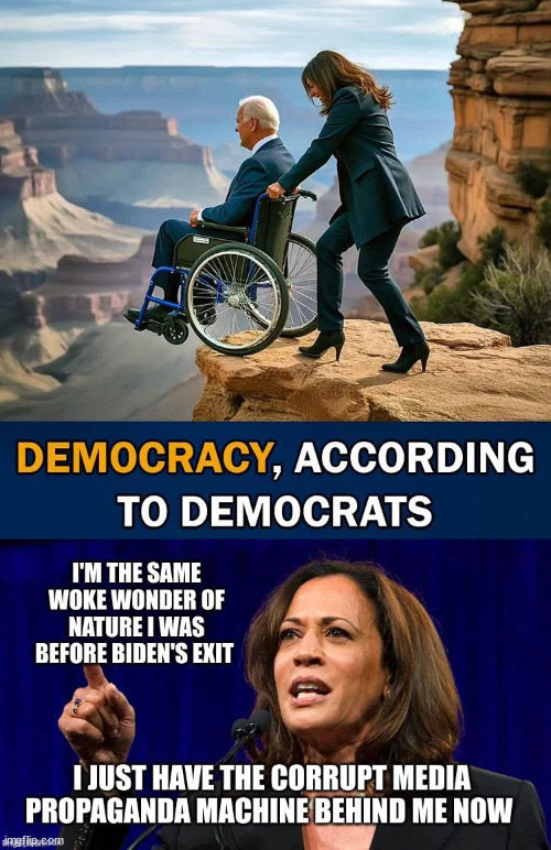 Kamala assures the dem cult nothing has changed | image tagged in democrats,have weird definition for democracy | made w/ Imgflip meme maker