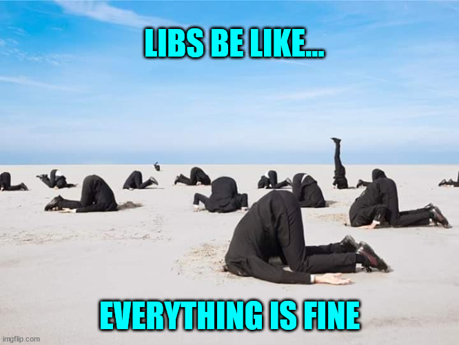 Heads in the sand | LIBS BE LIKE... EVERYTHING IS FINE | image tagged in heads in the sand | made w/ Imgflip meme maker