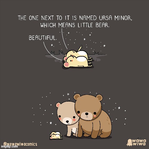 image tagged in mice,star gazing,bears | made w/ Imgflip meme maker