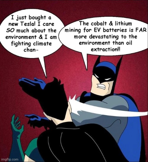 Batman Slapping Robin | image tagged in batman slapping robin | made w/ Imgflip meme maker