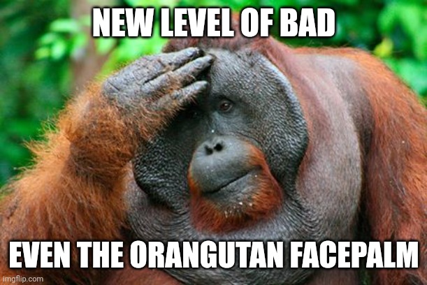 Facepalm Orangutan | NEW LEVEL OF BAD; EVEN THE ORANGUTAN FACEPALM | image tagged in facepalm orangutan | made w/ Imgflip meme maker