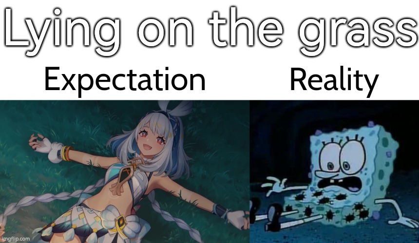 If you hate bugs, then don't lying on the grass. | Lying on the grass; Expectation; Reality | image tagged in expectations vs reality,grass | made w/ Imgflip meme maker