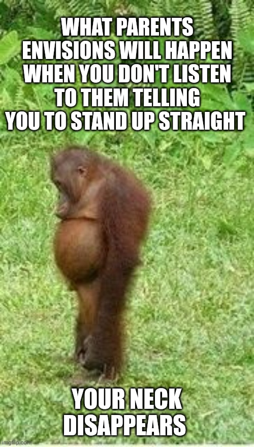 Sad orangutan | WHAT PARENTS ENVISIONS WILL HAPPEN WHEN YOU DON'T LISTEN TO THEM TELLING YOU TO STAND UP STRAIGHT; YOUR NECK DISAPPEARS | image tagged in sad orangutan | made w/ Imgflip meme maker